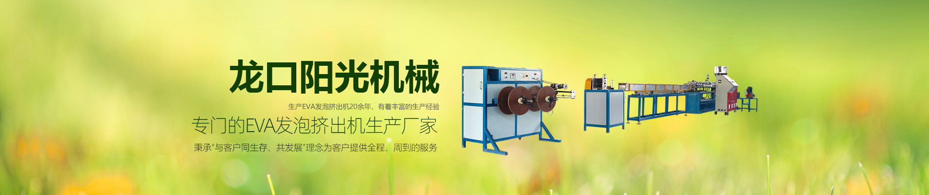 EVA发泡挤出机,EVA塑料发泡条挤出机,EVA胶条挤出机